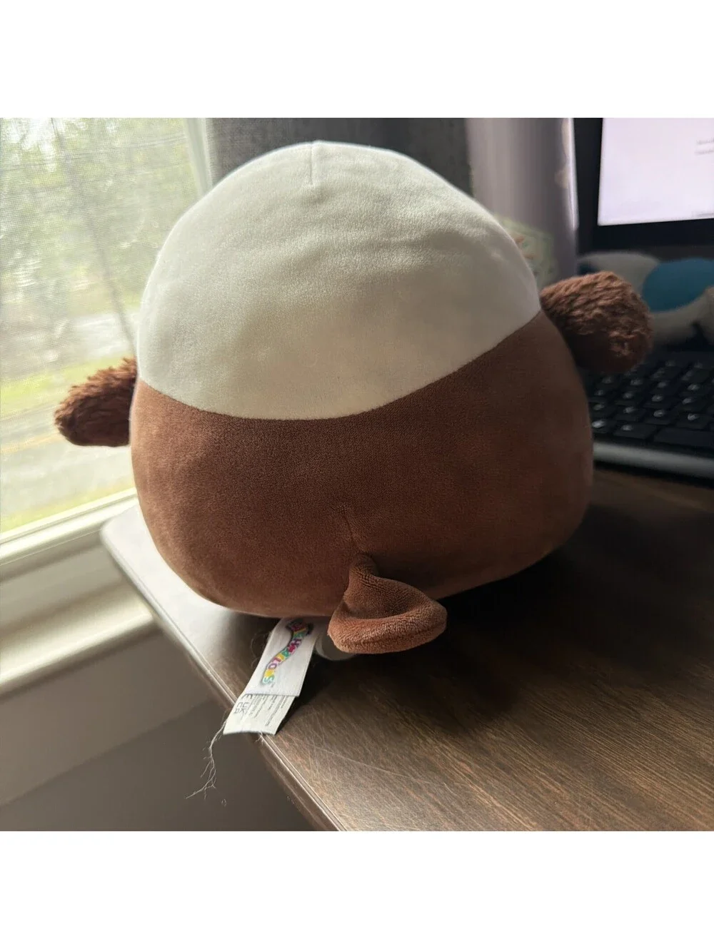 Squishmallows Edward the Eagle 8